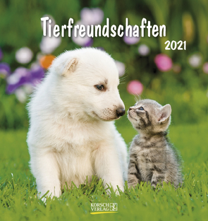 Tierfreundschaften 2021 von Korsch Verlag