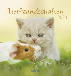 Tierfreundschaften 2023 von Korsch Verlag