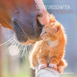 Tierfreundschaften 2024 – Broschürenkalender 30×30 cm (30×60 geöffnet) – Kalender mit Platz für Notizen – Animal Friendships – Bildkalender – Planer