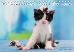 Tierfreundschaften – Freunde fürs Leben (Tischkalender 2021 DIN A5 quer) von Steimer,  Christine