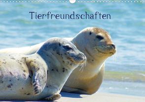 Tierfreundschaften (Posterbuch DIN A3 quer) von Kattobello,  k.A.
