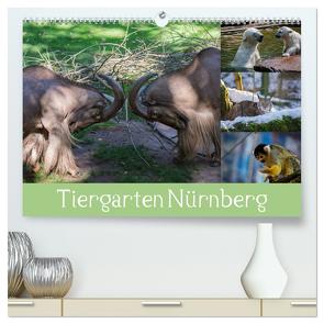 Tiergarten Nürnberg (hochwertiger Premium Wandkalender 2024 DIN A2 quer), Kunstdruck in Hochglanz von Haas,  Ronny