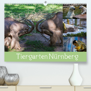 Tiergarten Nürnberg (Premium, hochwertiger DIN A2 Wandkalender 2022, Kunstdruck in Hochglanz) von Haas,  Ronny
