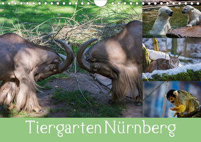 Tiergarten Nürnberg (Wandkalender 2021 DIN A4 quer) von Haas,  Ronny