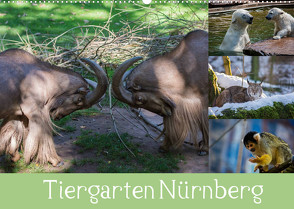Tiergarten Nürnberg (Wandkalender 2022 DIN A2 quer) von Haas,  Ronny
