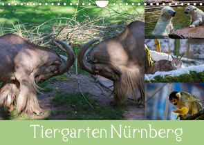 Tiergarten Nürnberg (Wandkalender 2022 DIN A4 quer) von Haas,  Ronny