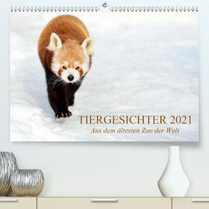 Tiergesichter 2021 (Premium, hochwertiger DIN A2 Wandkalender 2021, Kunstdruck in Hochglanz) von Stotz,  Manfred