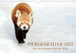 Tiergesichter 2021 (Wandkalender 2021 DIN A4 quer) von Stotz,  Manfred