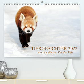 Tiergesichter 2022 (Premium, hochwertiger DIN A2 Wandkalender 2022, Kunstdruck in Hochglanz) von Stotz,  Manfred