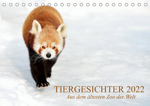 Tiergesichter 2022 (Tischkalender 2022 DIN A5 quer) von Stotz,  Manfred