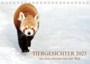Tiergesichter 2023 (Tischkalender 2023 DIN A5 quer) von Stotz,  Manfred