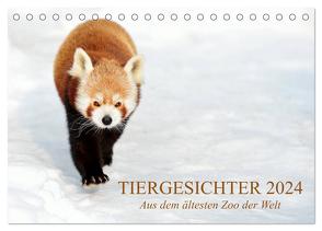 Tiergesichter 2024 (Tischkalender 2024 DIN A5 quer), CALVENDO Monatskalender von Stotz,  Manfred