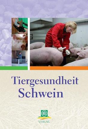 Tiergesundheit Schwein von Blaha, Brede, Hoy, Schulte-Wülwer, Sieverding, Stalljohann