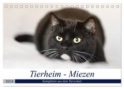 Tierheim – Miezen (Tischkalender 2024 DIN A5 quer), CALVENDO Monatskalender von Metternich,  Doris