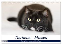 Tierheim – Miezen (Wandkalender 2024 DIN A3 quer), CALVENDO Monatskalender von Metternich,  Doris