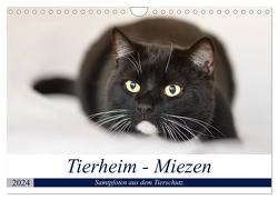 Tierheim – Miezen (Wandkalender 2024 DIN A4 quer), CALVENDO Monatskalender von Metternich,  Doris