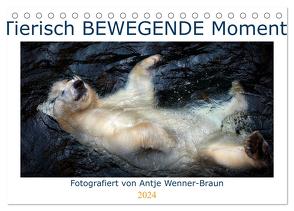Tierisch BEWEGENDE Momente (Tischkalender 2024 DIN A5 quer), CALVENDO Monatskalender von Wenner-Braun,  Antje