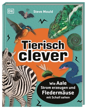 Tierisch clever von Mould,  Steve, Reit,  Birgit