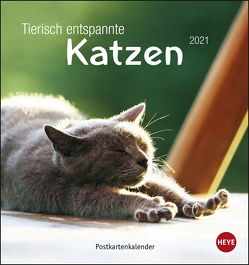 Tierisch entspannte Katzen Postkartenkalender Kalender 2021 von Heye