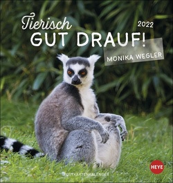 Tierisch gut drauf Postkartenkalender 2022 von Heye, Wegler,  Monika