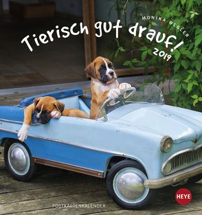 Tierisch gut drauf Postkartenkalender – Kalender 2019 von Heye, Wegler,  Monika