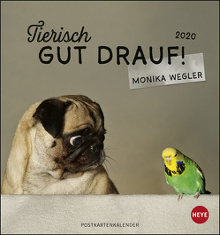 Tierisch gut drauf Postkartenkalender Kalender 2020 von Heye, Wegler,  Monika