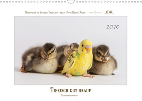 Tierisch gut drauf – Tierfreundschaften (Wandkalender 2020 DIN A3 quer) von Wrede,  Martina