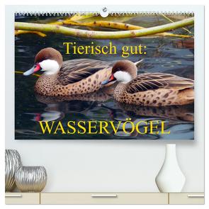 Tierisch gut: Wasservögel (hochwertiger Premium Wandkalender 2024 DIN A2 quer), Kunstdruck in Hochglanz von Kruse,  Gisela