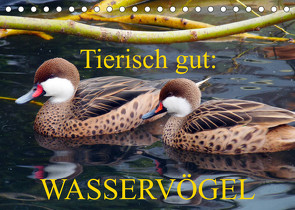 Tierisch gut: Wasservögel (Tischkalender 2023 DIN A5 quer) von Kruse,  Gisela