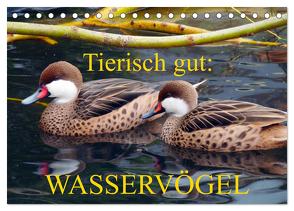 Tierisch gut: Wasservögel (Tischkalender 2024 DIN A5 quer), CALVENDO Monatskalender von Kruse,  Gisela