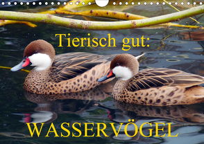 Tierisch gut: Wasservögel (Wandkalender 2021 DIN A4 quer) von Kruse,  Gisela