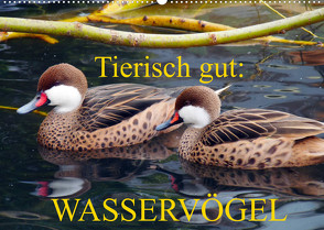 Tierisch gut: Wasservögel (Wandkalender 2022 DIN A2 quer) von Kruse,  Gisela