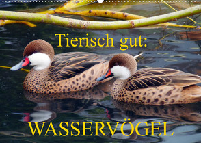 Tierisch gut: Wasservögel (Wandkalender 2023 DIN A2 quer) von Kruse,  Gisela