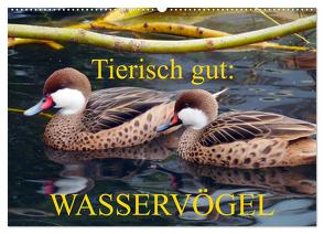 Tierisch gut: Wasservögel (Wandkalender 2024 DIN A2 quer), CALVENDO Monatskalender von Kruse,  Gisela