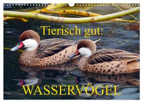 Tierisch gut: Wasservögel (Wandkalender 2024 DIN A3 quer), CALVENDO Monatskalender von Kruse,  Gisela