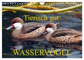 Tierisch gut: Wasservögel (Wandkalender 2024 DIN A4 quer), CALVENDO Monatskalender von Kruse,  Gisela