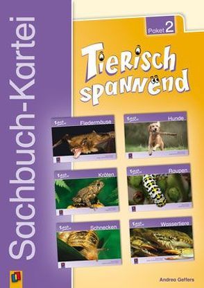 Tierisch spannend – Paket 2 von Geffers,  Andrea