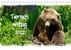 Tierisch witzig (Tischkalender 2022 DIN A5 quer) von / Kottal,  Elsner
