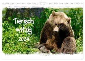 Tierisch witzig (Wandkalender 2024 DIN A4 quer), CALVENDO Monatskalender von / Kottal,  Elsner