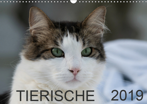 Tierische 2019 (Wandkalender 2019 DIN A3 quer) von N.,  N.