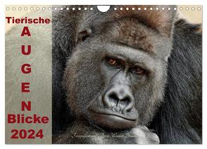 Tierische Augen-Blicke 2024 (Wandkalender 2024 DIN A4 quer), CALVENDO Monatskalender von Wenner-Braun,  Antje