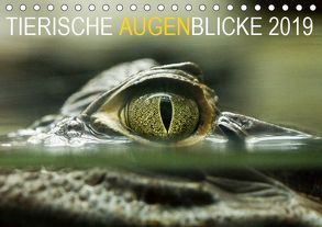 Tierische Augenblicke 2019 (Tischkalender 2019 DIN A5 quer) von Jentschura,  Katja