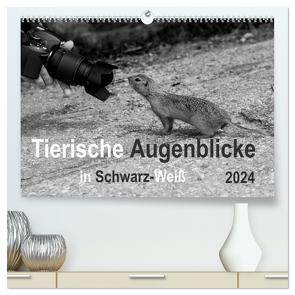 Tierische Augenblicke in Schwarz-Weiß (hochwertiger Premium Wandkalender 2024 DIN A2 quer), Kunstdruck in Hochglanz von Drews,  Marianne