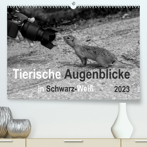 Tierische Augenblicke in Schwarz-Weiß (Premium, hochwertiger DIN A2 Wandkalender 2023, Kunstdruck in Hochglanz) von Drews,  Marianne