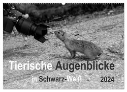 Tierische Augenblicke in Schwarz-Weiß (Wandkalender 2024 DIN A2 quer), CALVENDO Monatskalender von Drews,  Marianne