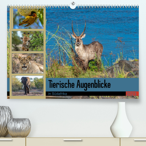 Tierische Augenblicke in Südafrika (Premium, hochwertiger DIN A2 Wandkalender 2023, Kunstdruck in Hochglanz) von W. Saul,  Norbert