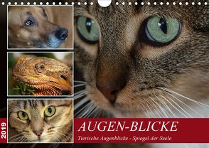 Tierische Augenblicke-Spiegel der Seele (Wandkalender 2019 DIN A4 quer) von LaPics