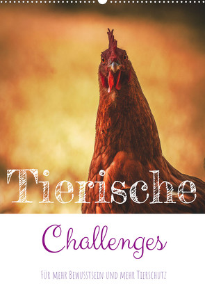 Tierische Challenges: Für mehr Bewusstsein und mehr Tierschutz (Wandkalender 2023 DIN A2 hoch) von MSK-Charakterbilder