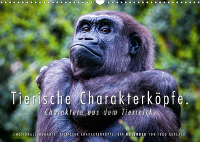 Tierische Charakterköpfe (Wandkalender 2020 DIN A3 quer) von Gerlach,  Ingo