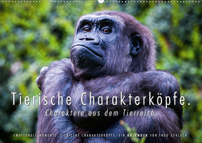 Tierische Charakterköpfe (Wandkalender 2021 DIN A2 quer) von Gerlach,  Ingo